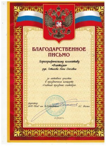 Наши достижения 2017 года
